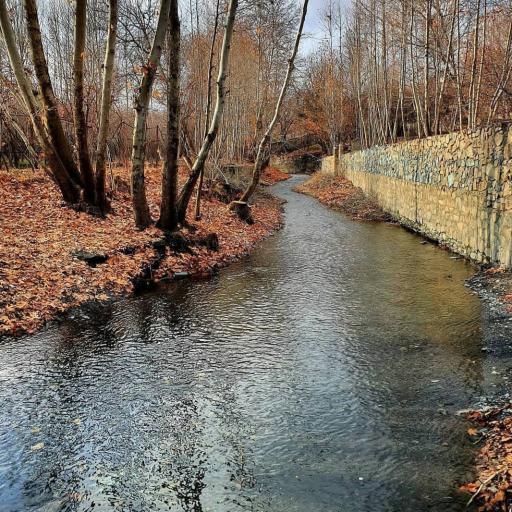 عکس استراحتگاه خانوادگی پل