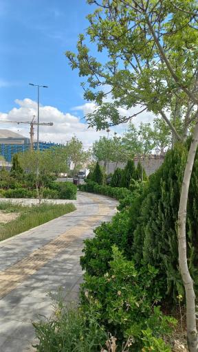 عکس برج ارکیده 6