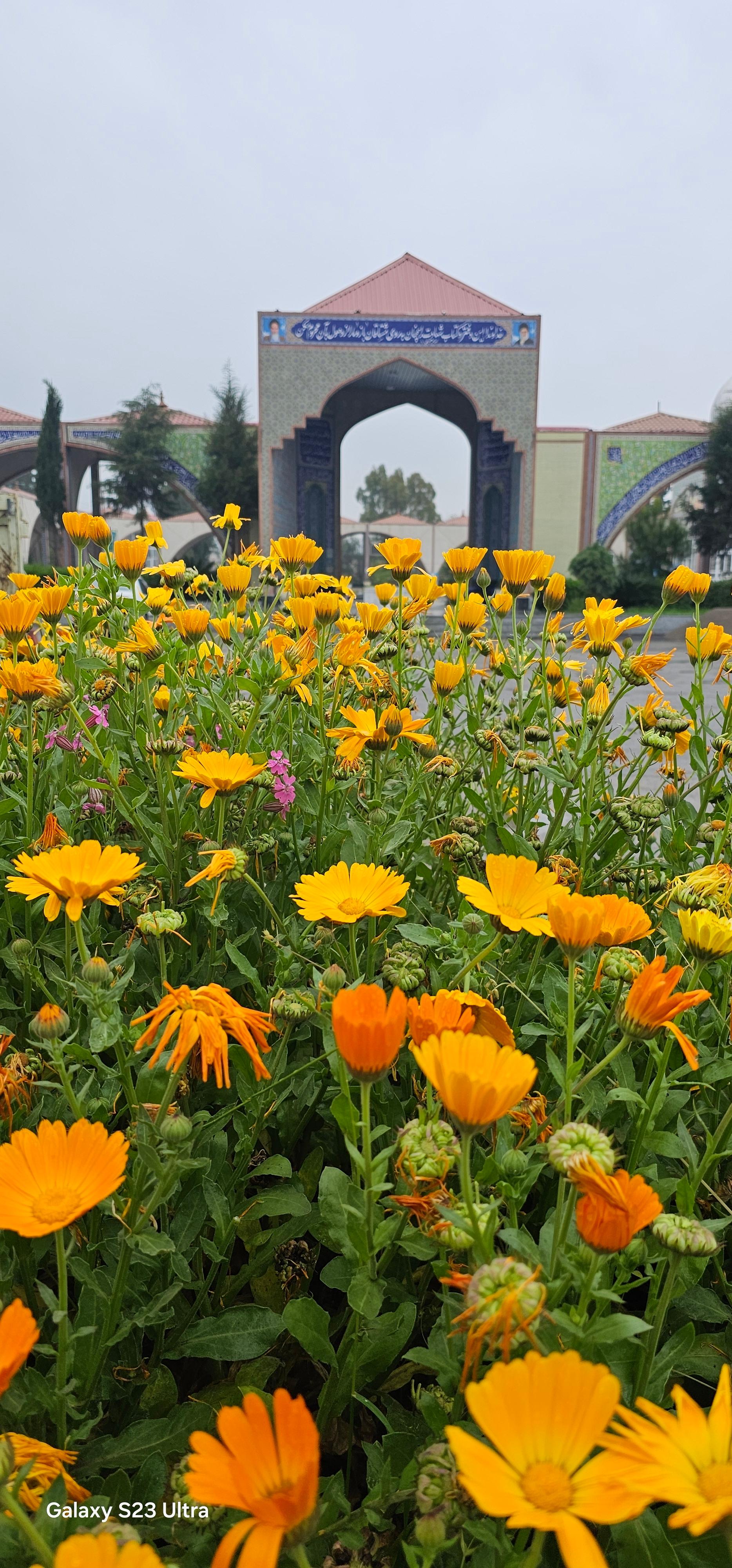 عکس گلزار شهدای بهشهر