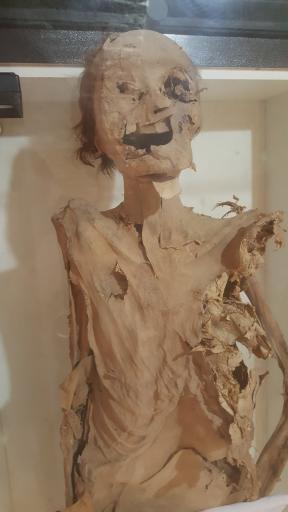 عکس موزه تاریخ علوم پزشکی