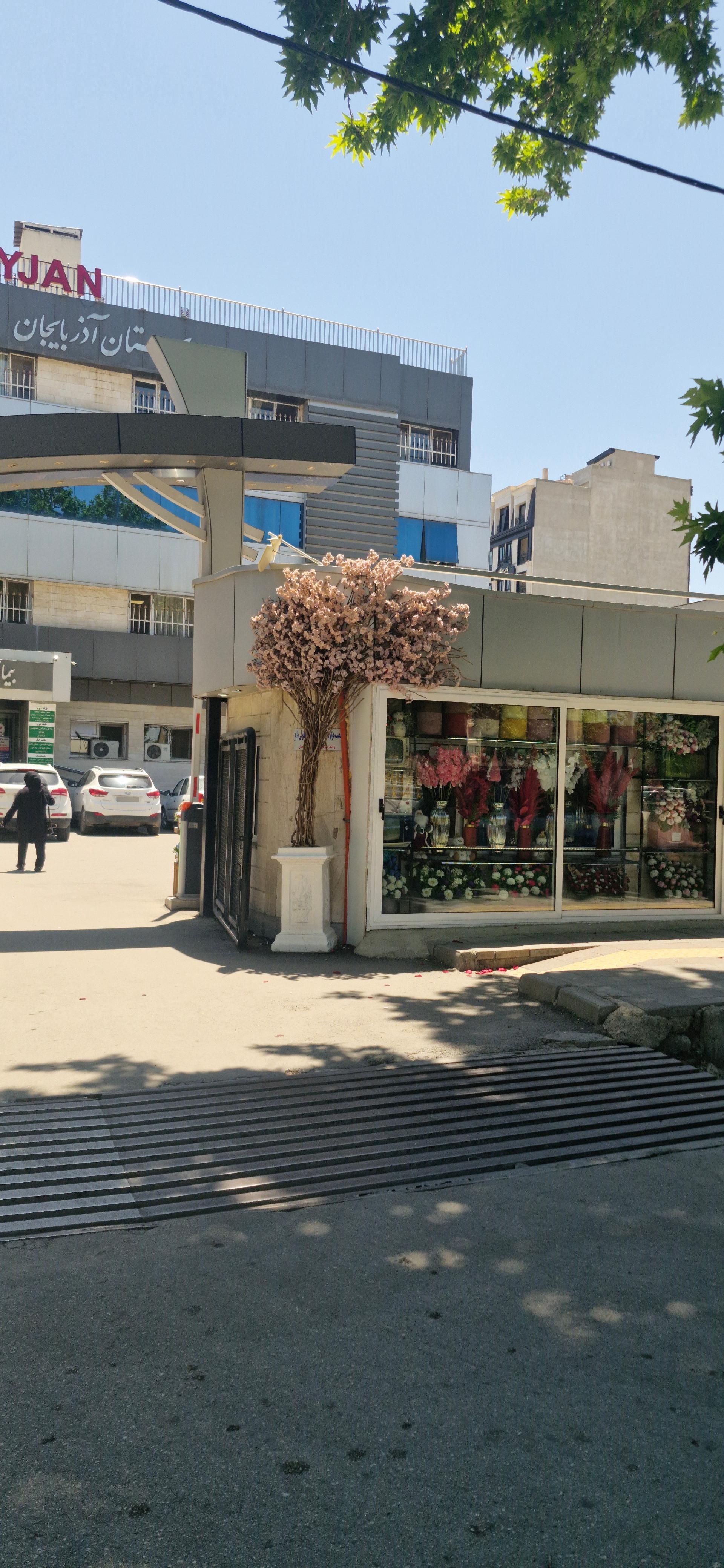 عکس گل آذربایجان