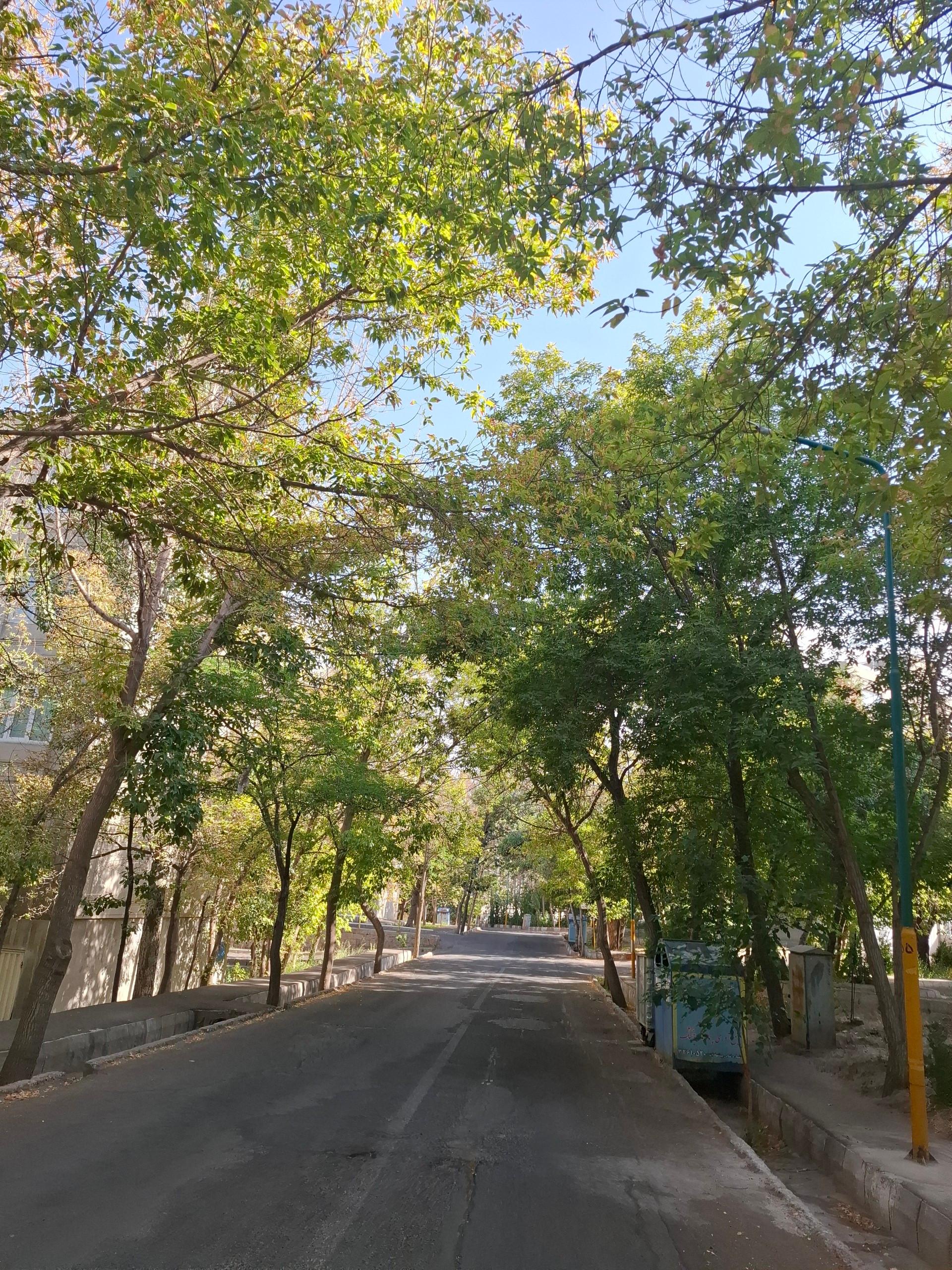 عکس بوستان مجتمع مسکونی فجر ائل‌گلی