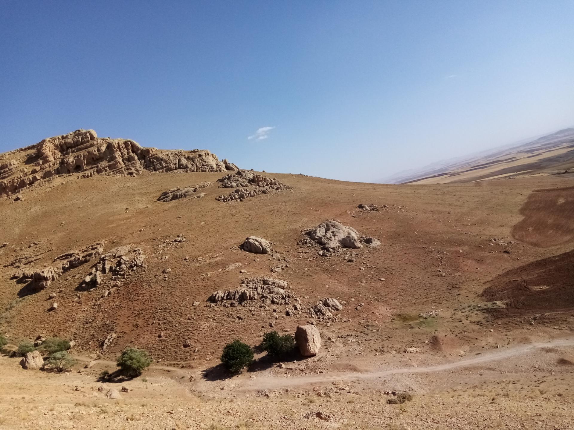 عکس پنجه علی