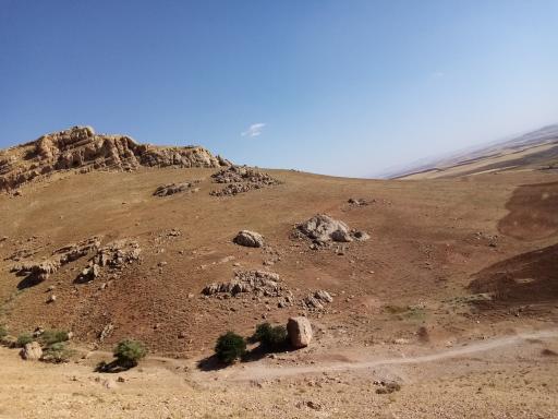 عکس پنجه علی