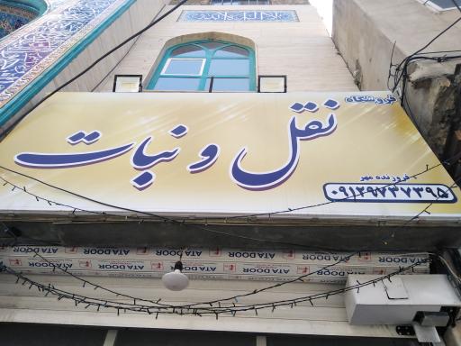 عکس نقل و نبات 