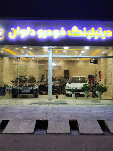 عکس دیتیلینگ خودرو دلوان
