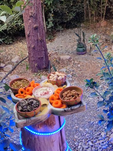 عکس باغ رستوران فانوس