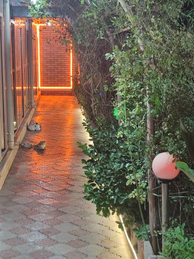 عکس باغ رستوران فانوس