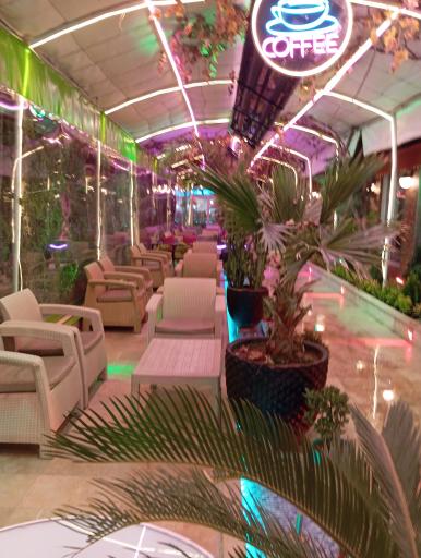 عکس کافه کاکو شیرازی