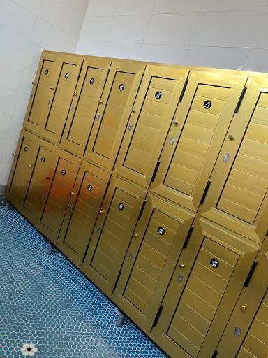 عکس استخر امیرکبیر