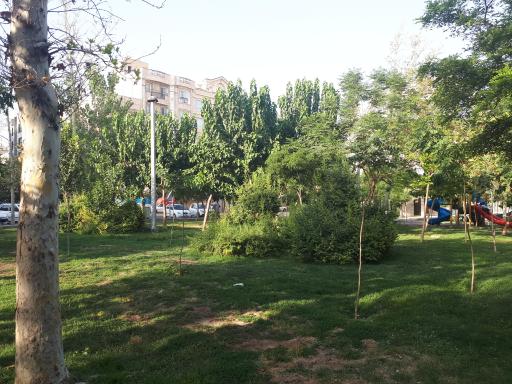 عکس میدان 17