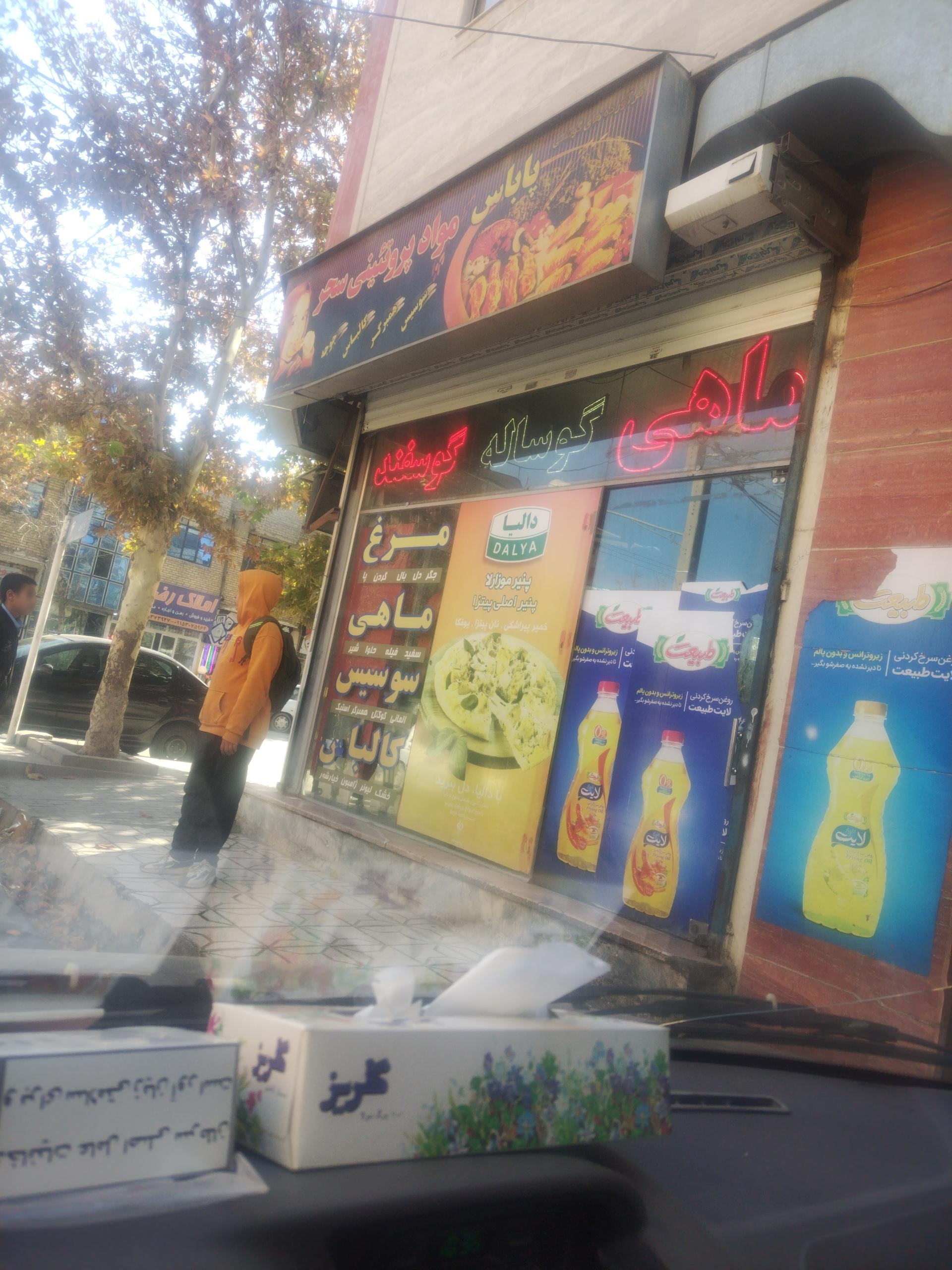 عکس فروشگاه پروتئینی سحر