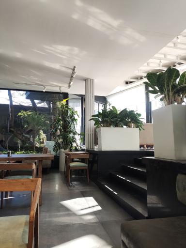 عکس والا کافه