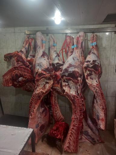 عکس قصابی خورسند 