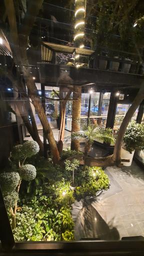 عکس والا کافه