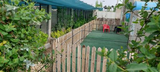 عکس پانسیون سگ ایوانا