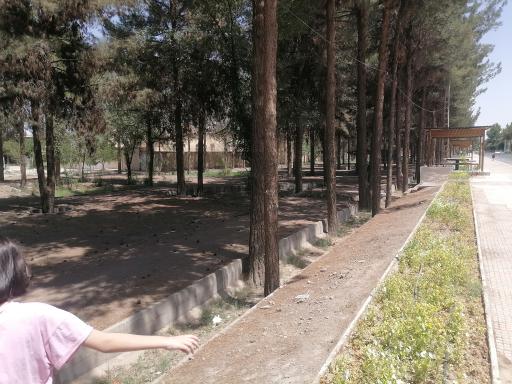 عکس بوستان فردوس (فرمانداری)