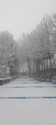 عکس رستوران کوهستان