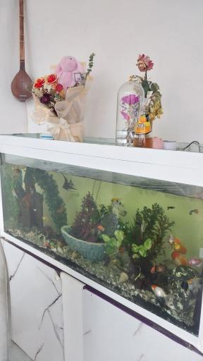 عکس کترینگ آسمان شهر