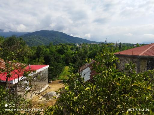 عکس شالیزارهای رحیم آباد