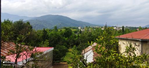 عکس شالیزارهای رحیم آباد