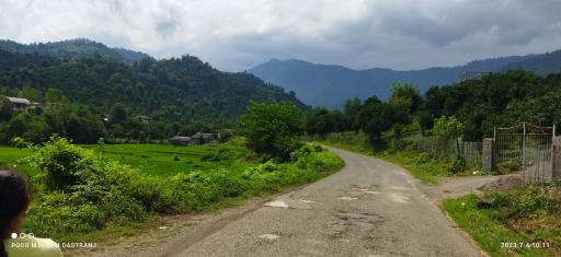 عکس شالیزارهای رحیم آباد