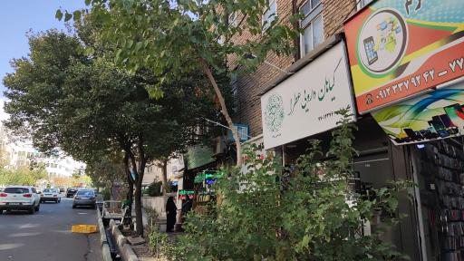 عکس داروخانه طب سنتی گیاهان دارویی عطرا 