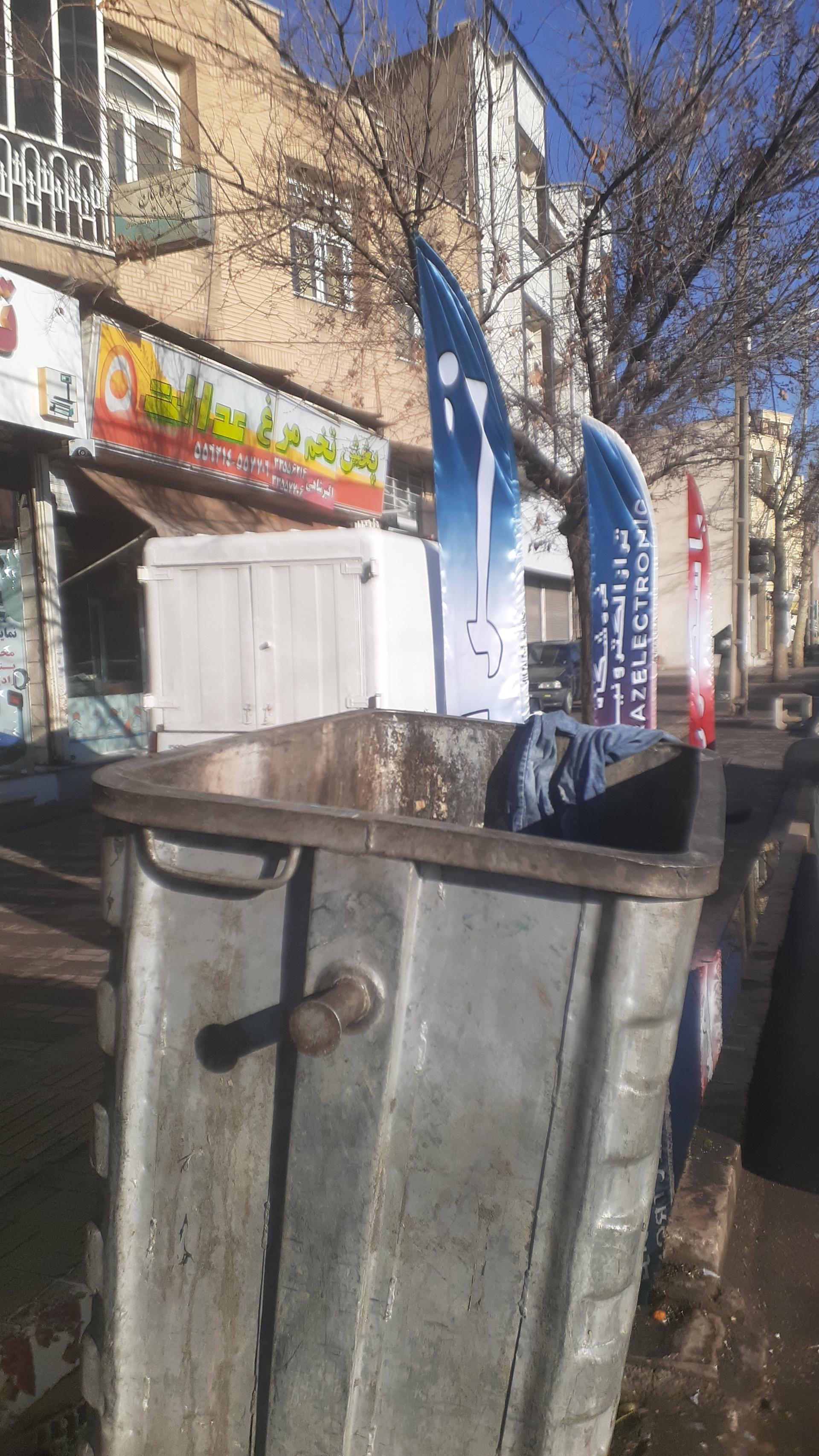 عکس پخش تخم مرغ عدالت