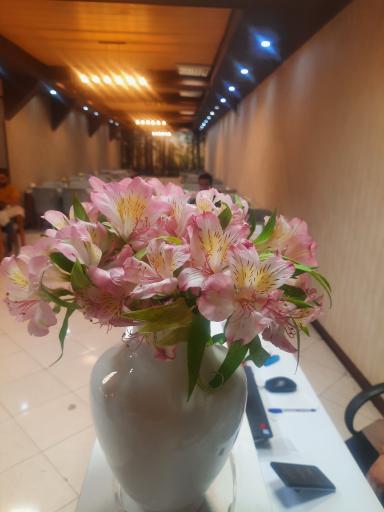 آشپزخانه بروکلی