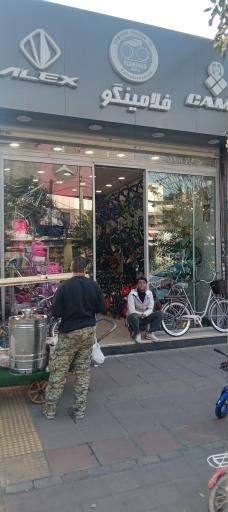 عکس دوچرخه فلامینگو