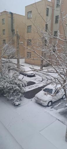 عکس مجتمع مسکونی زیتون 1