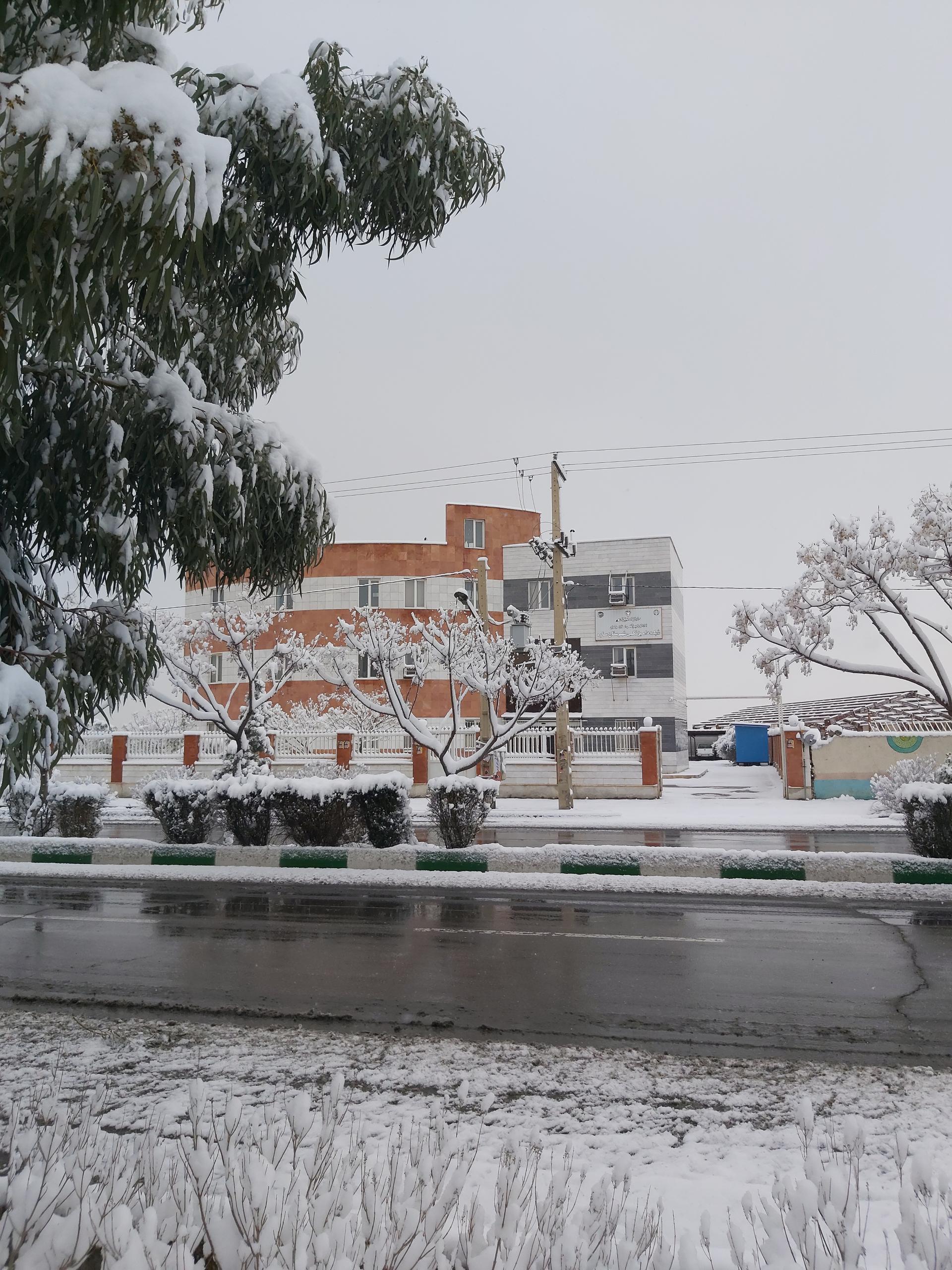 عکس اداره دامپزشکی ساوه