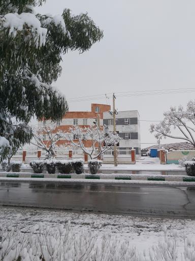 عکس اداره دامپزشکی ساوه