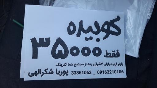 عکس کترینگ پوریا شکرالهی