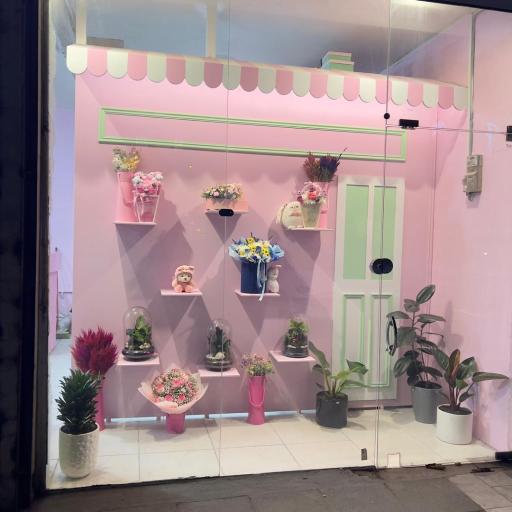 عکس گل فلامینگو