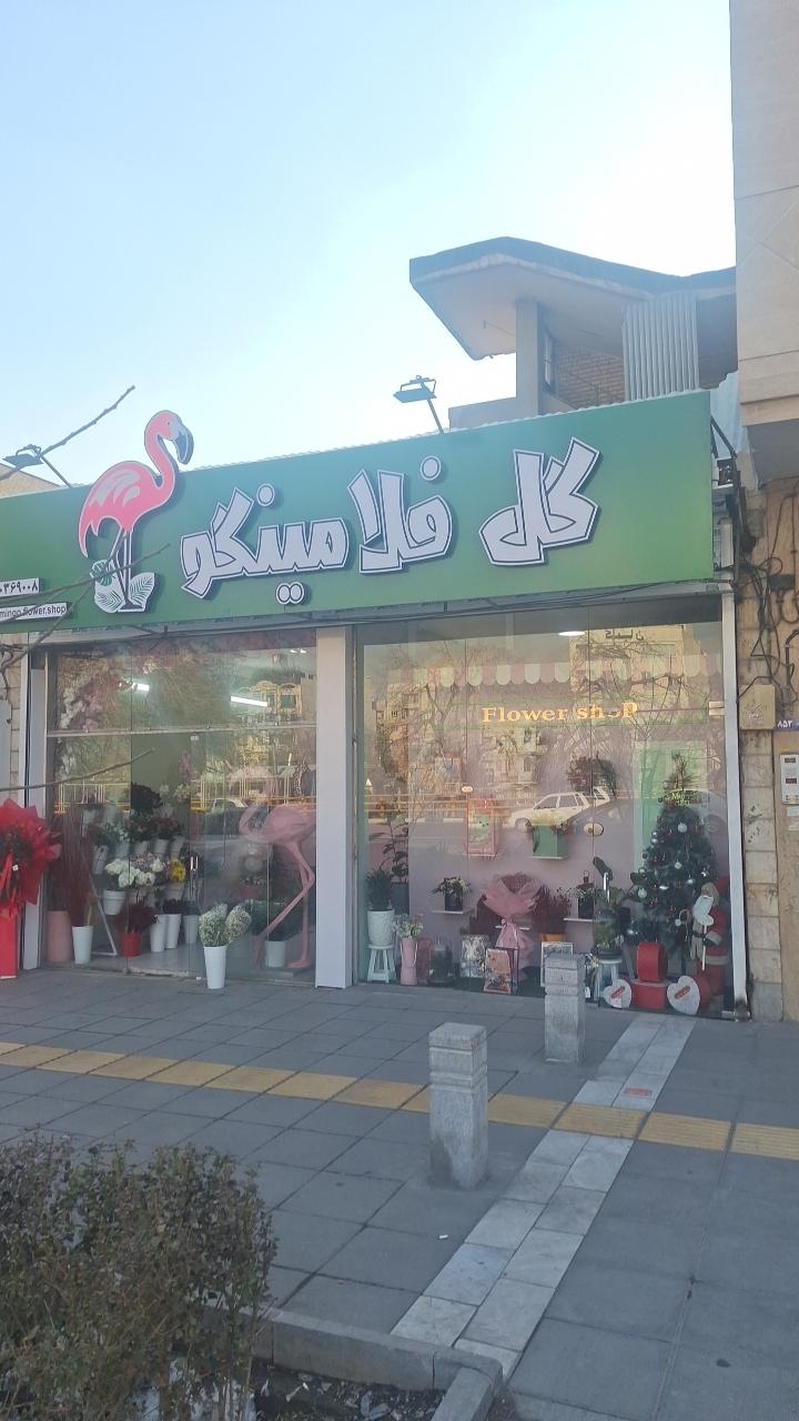 عکس گل فلامینگو