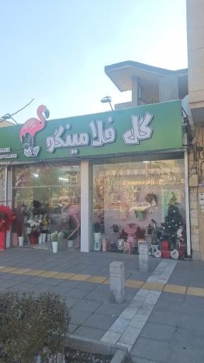 عکس گل فلامینگو