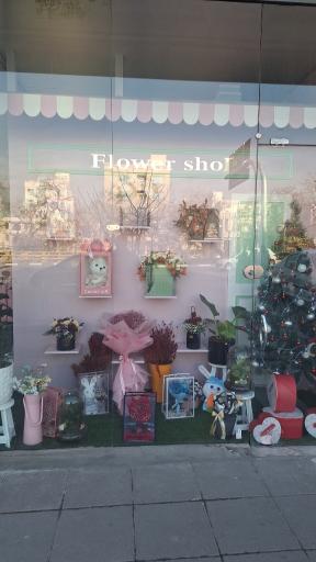 عکس گل فلامینگو