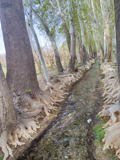 عکس باغ پهلوان پور مهریز