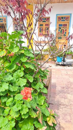 عکس رستوران کافه عمارت حاجیه بنی