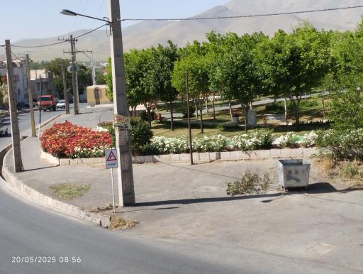 عکس بوستان لاله