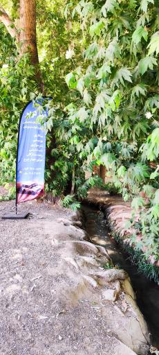 عکس باغ پهلوان پور مهریز