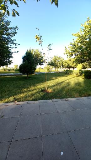 عکس بوستان گل آرا