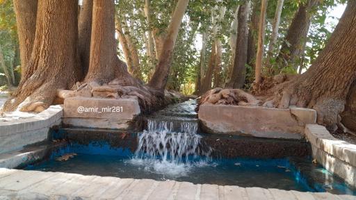 عکس باغ پهلوان پور مهریز