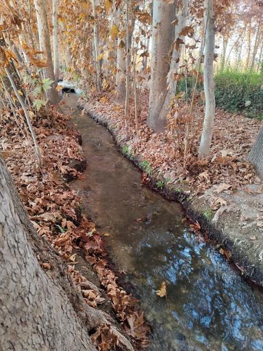 عکس باغ پهلوان پور مهریز