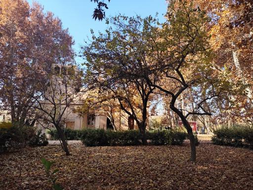 عکس باغ پهلوان پور مهریز