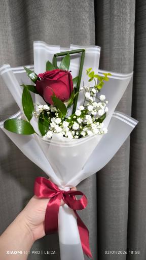 عکس گل فلامینگو