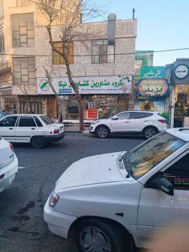 عکس گروه مشاورین کشاورزی نپکا 