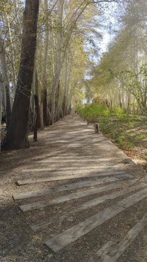 عکس باغ پهلوان پور مهریز