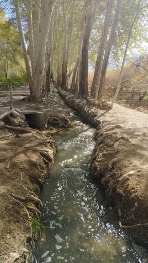 عکس باغ پهلوان پور مهریز